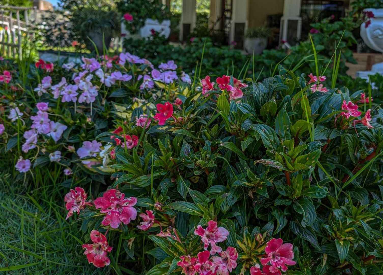Royal Wattles Boutique Homestay *