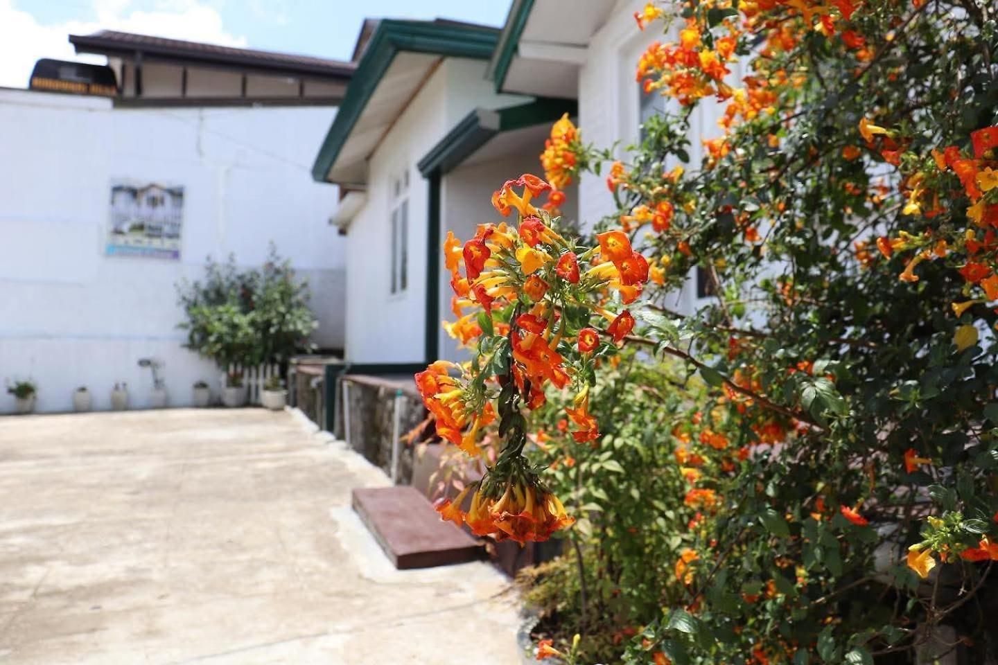 Zion White House 3* Nuwara Eliya