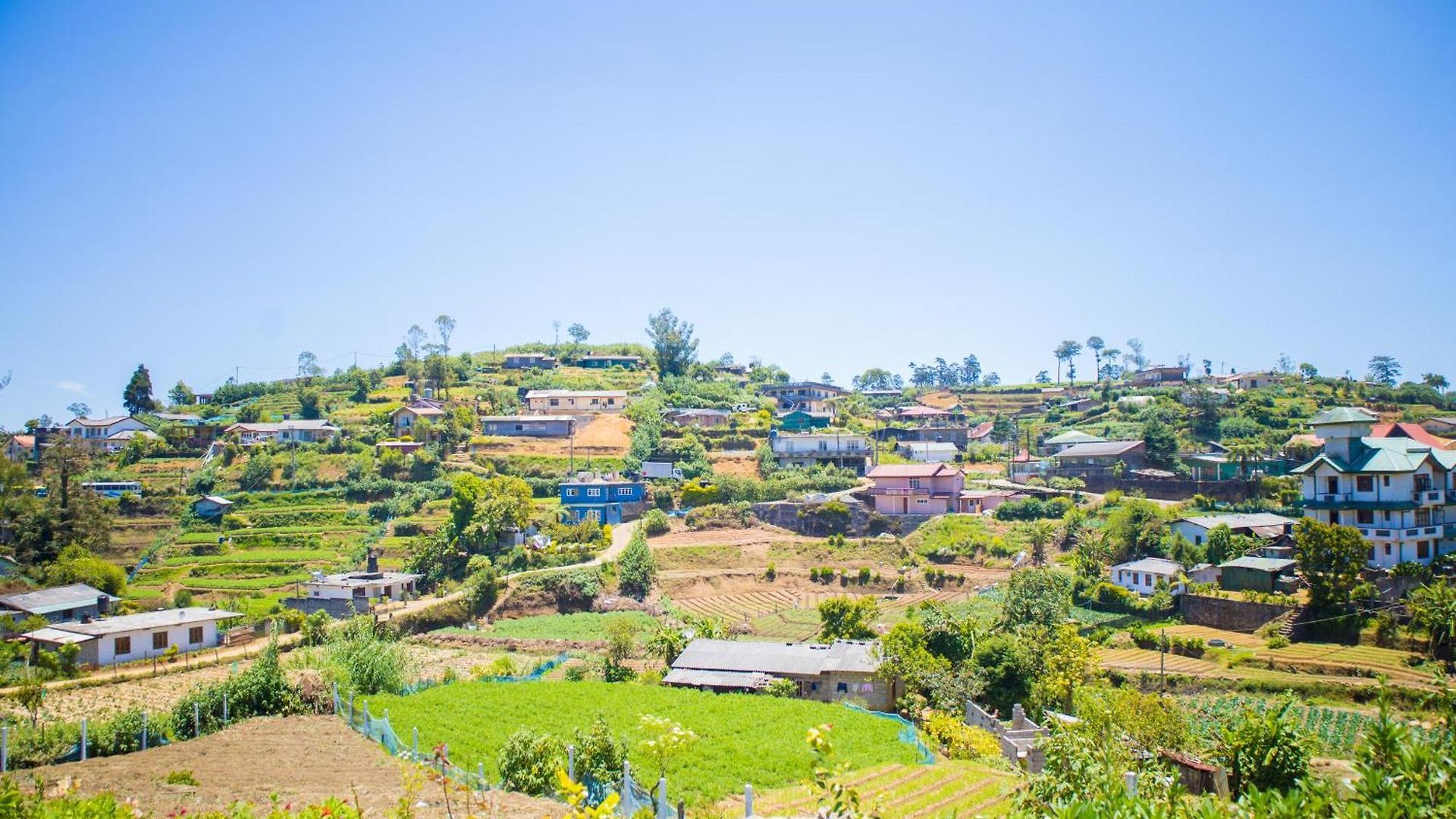 Homestay Nature View