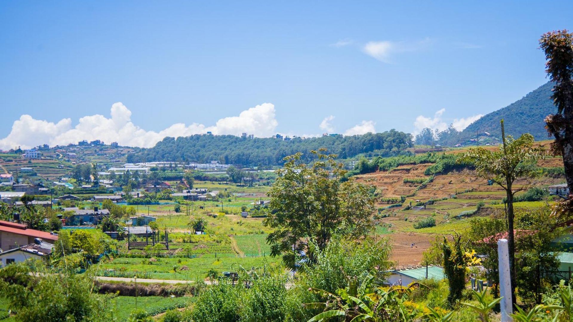Homestay Nature View Nuwara Eliya