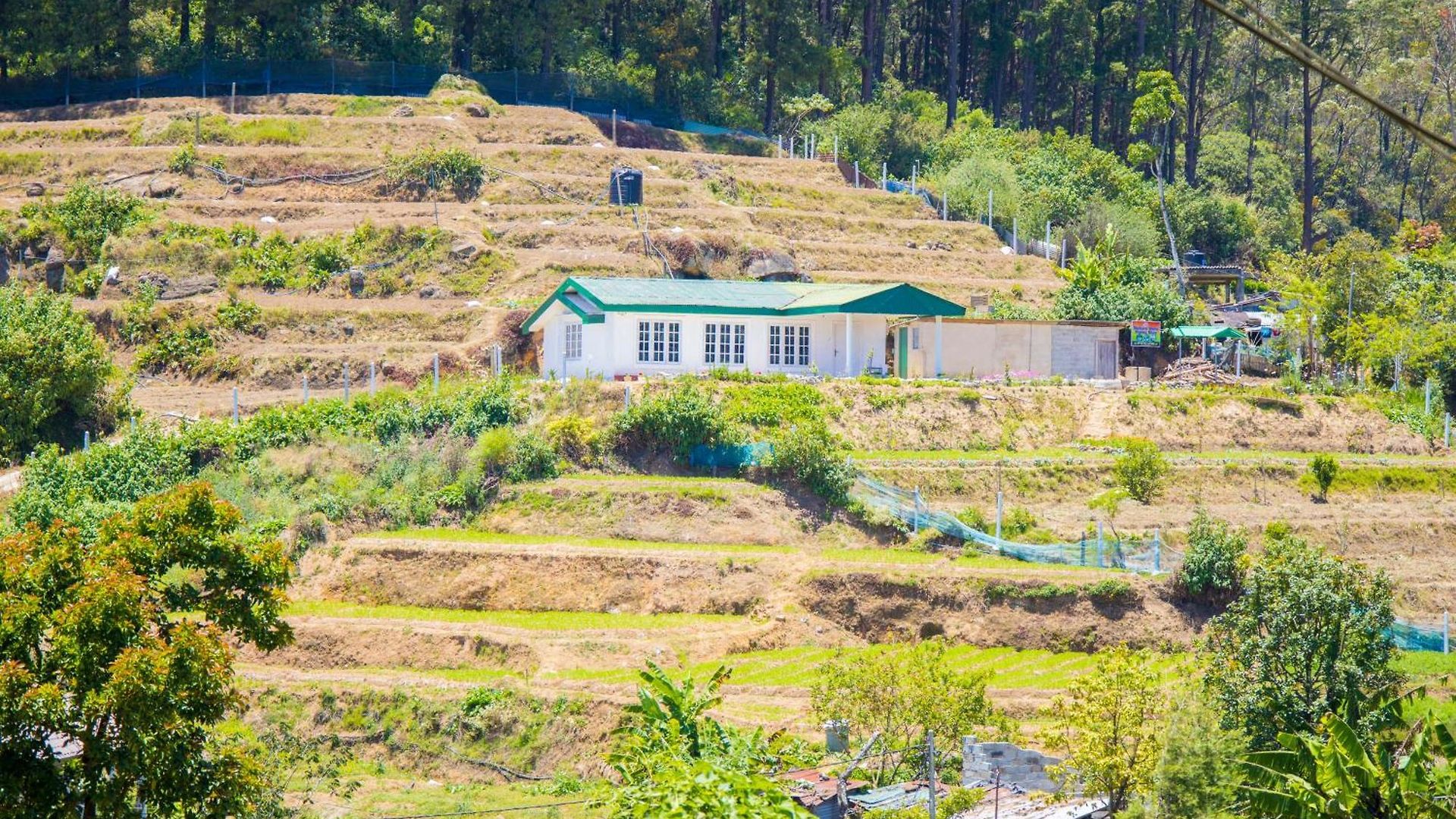 Nature View Homestay *