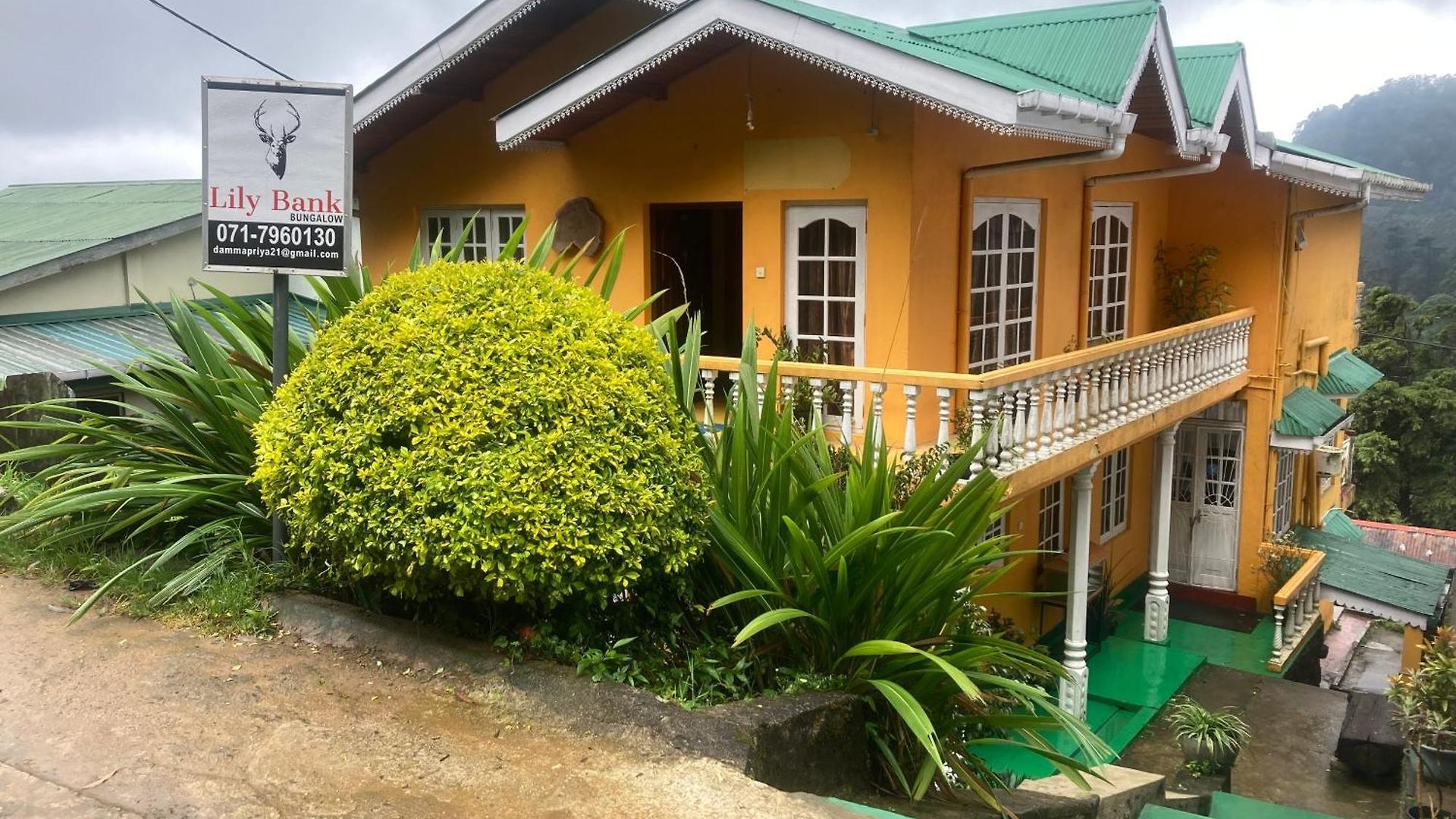Guest house Lily Bank