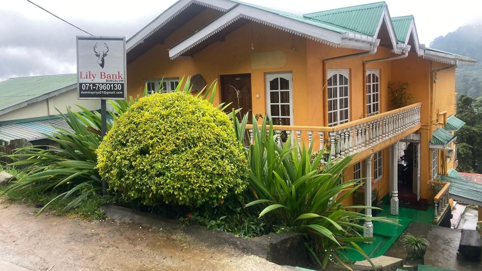 Guest house Lily Bank *