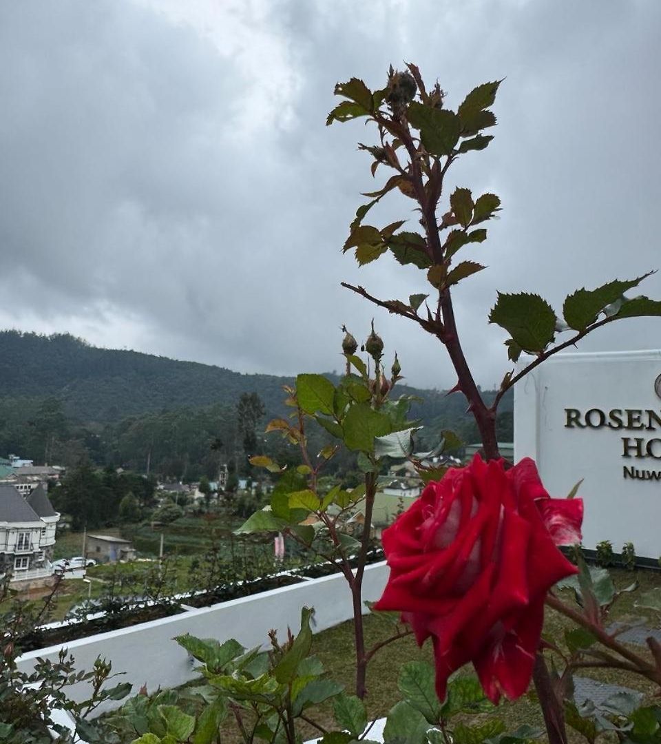 Rosen Burge Nuwaraeliya Hotel