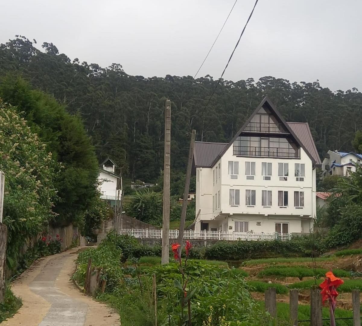 Scenic Hills *