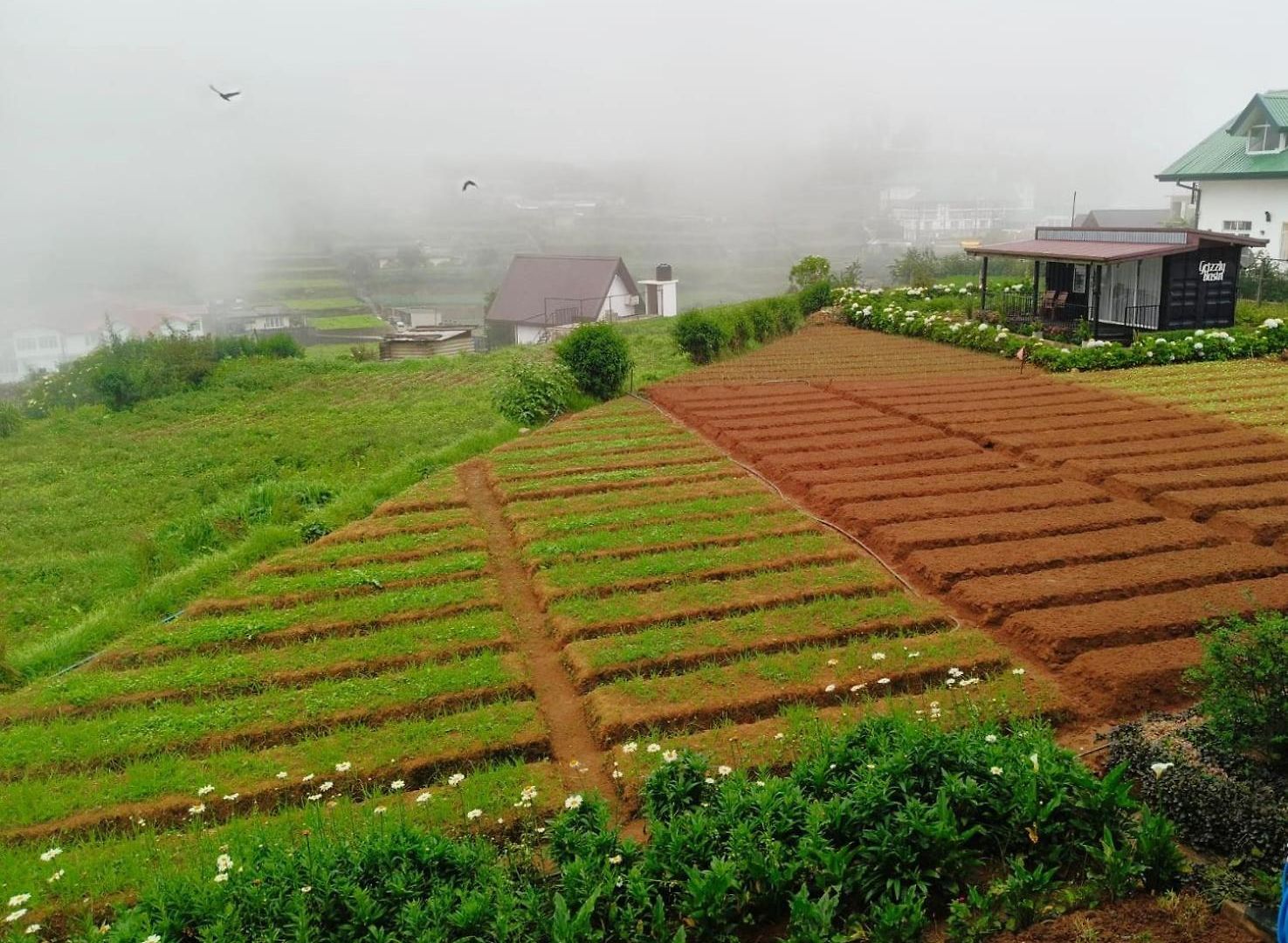 The Cozy Hotel Nuwara Eliya