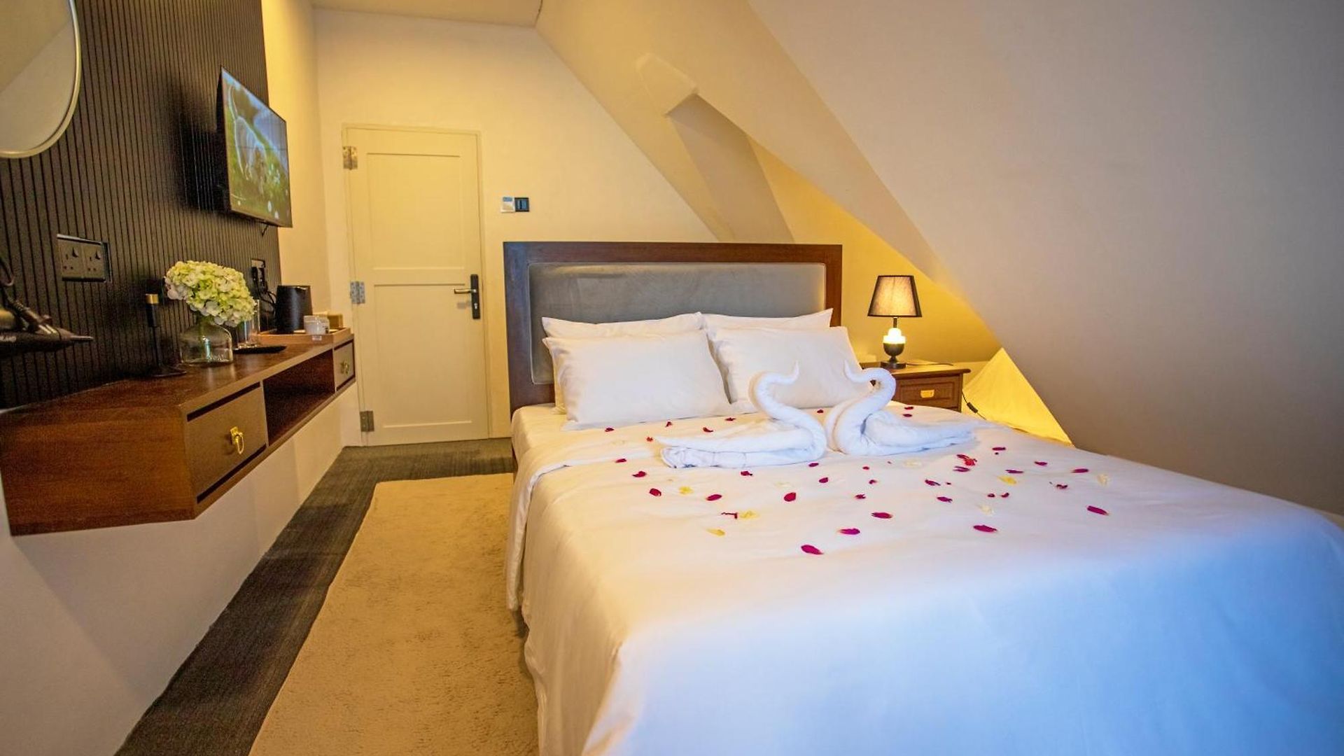 Hotel Liyons *