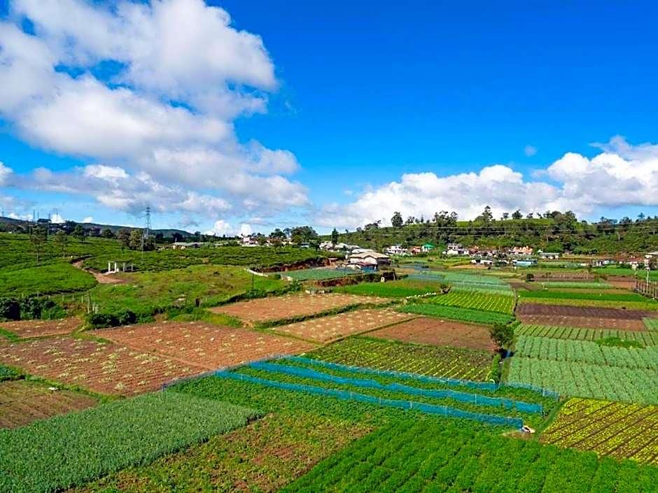 Stoney Croft 5* Nuwara Eliya