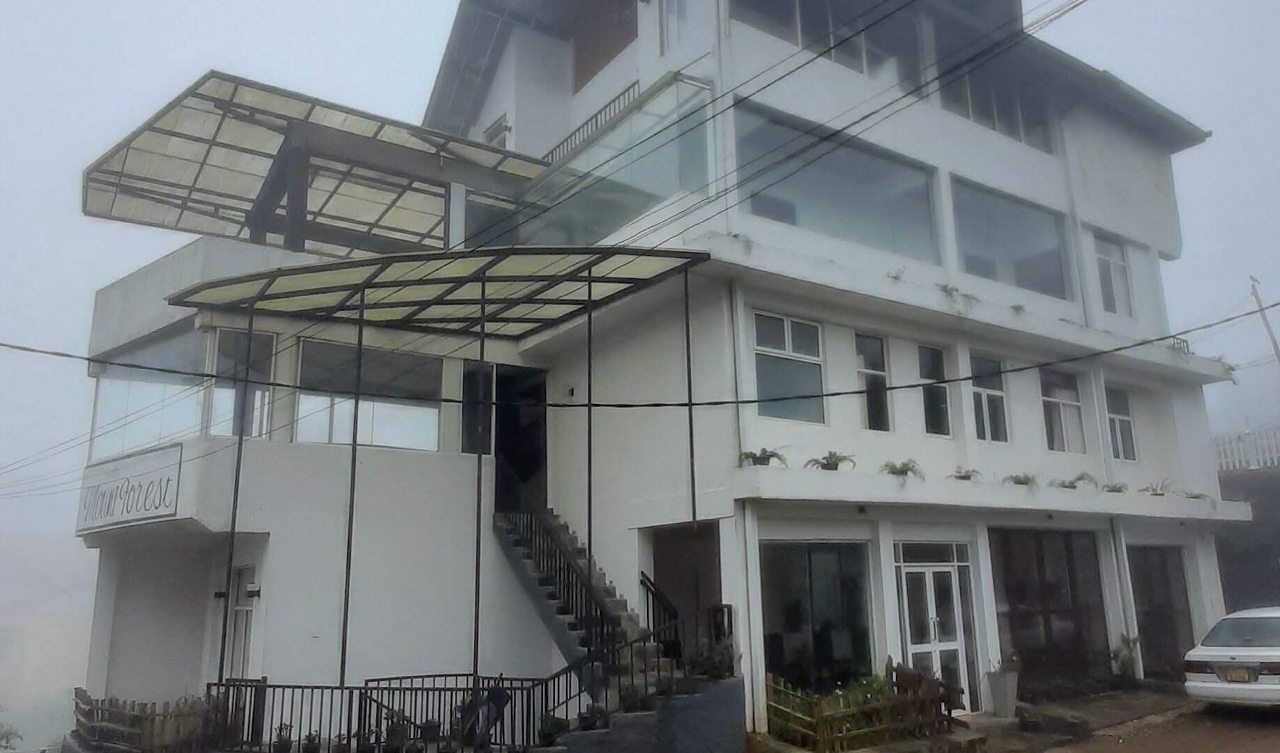 Tea Mount Forest Nuwara Eliya
