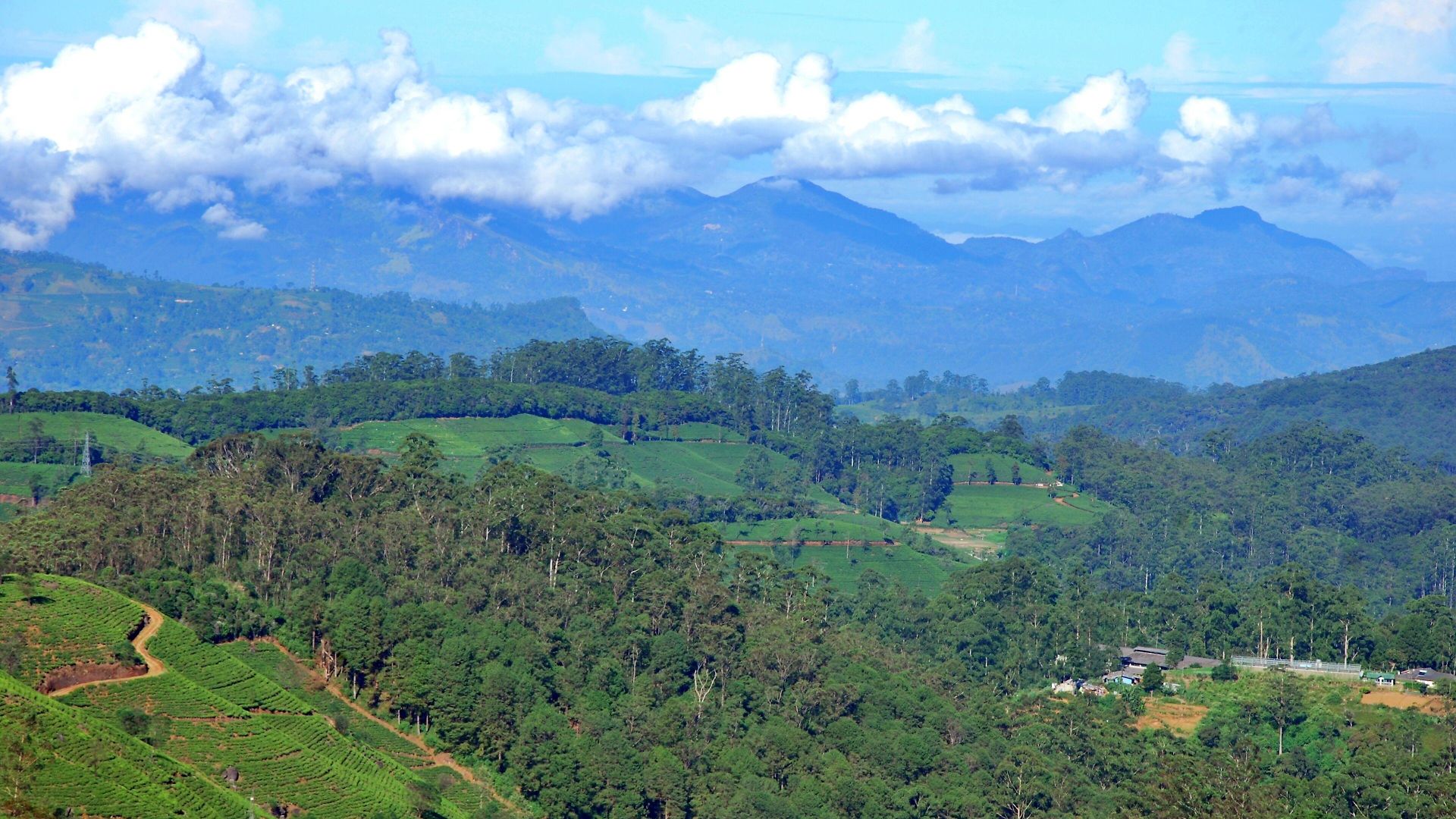 San Francesco Nuwara Eliya