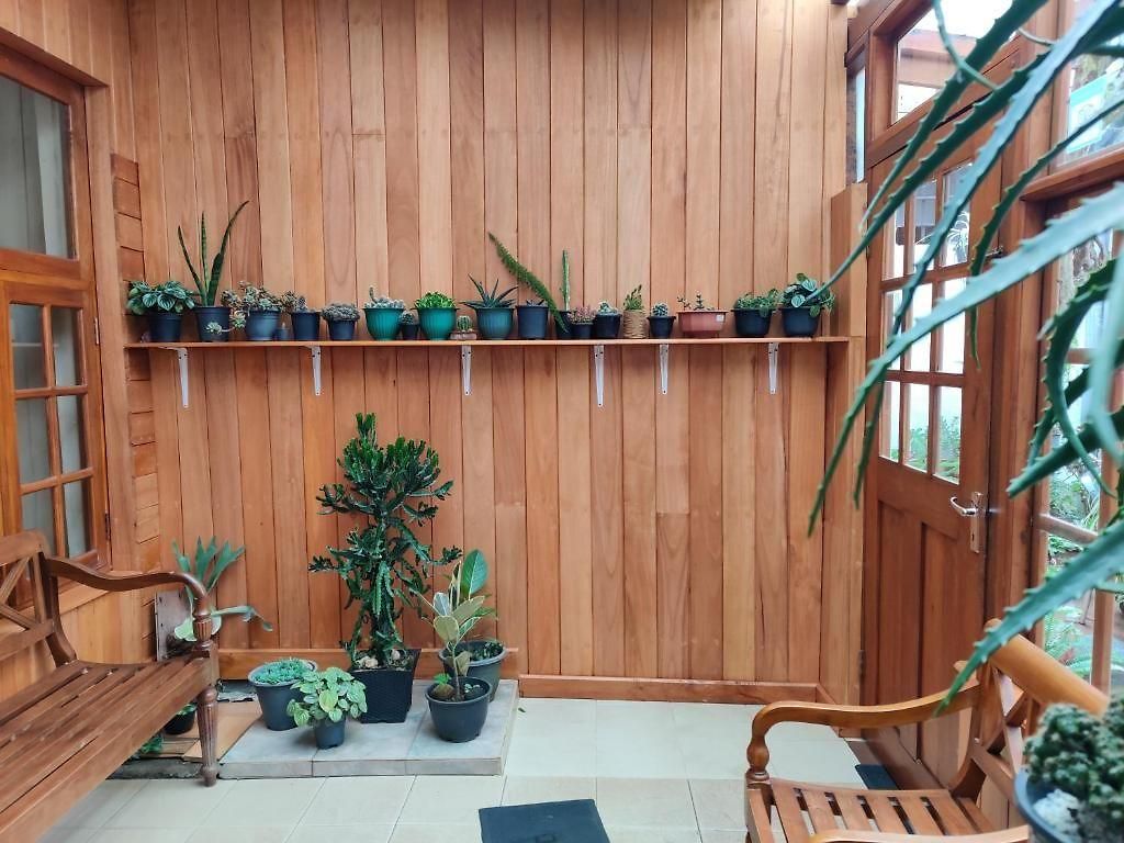 Guest house Carnation Rest 4*