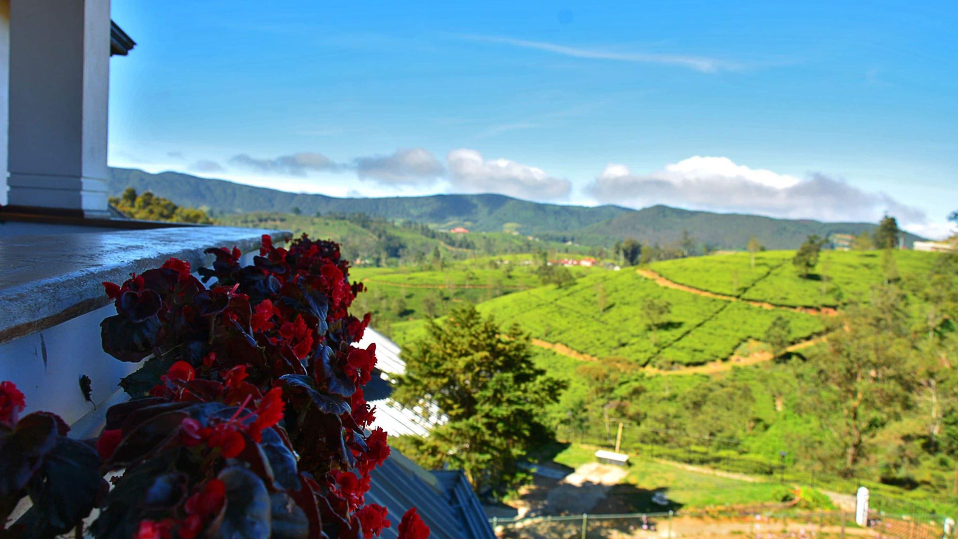 Villa Mount Royal Nuwara Eliya