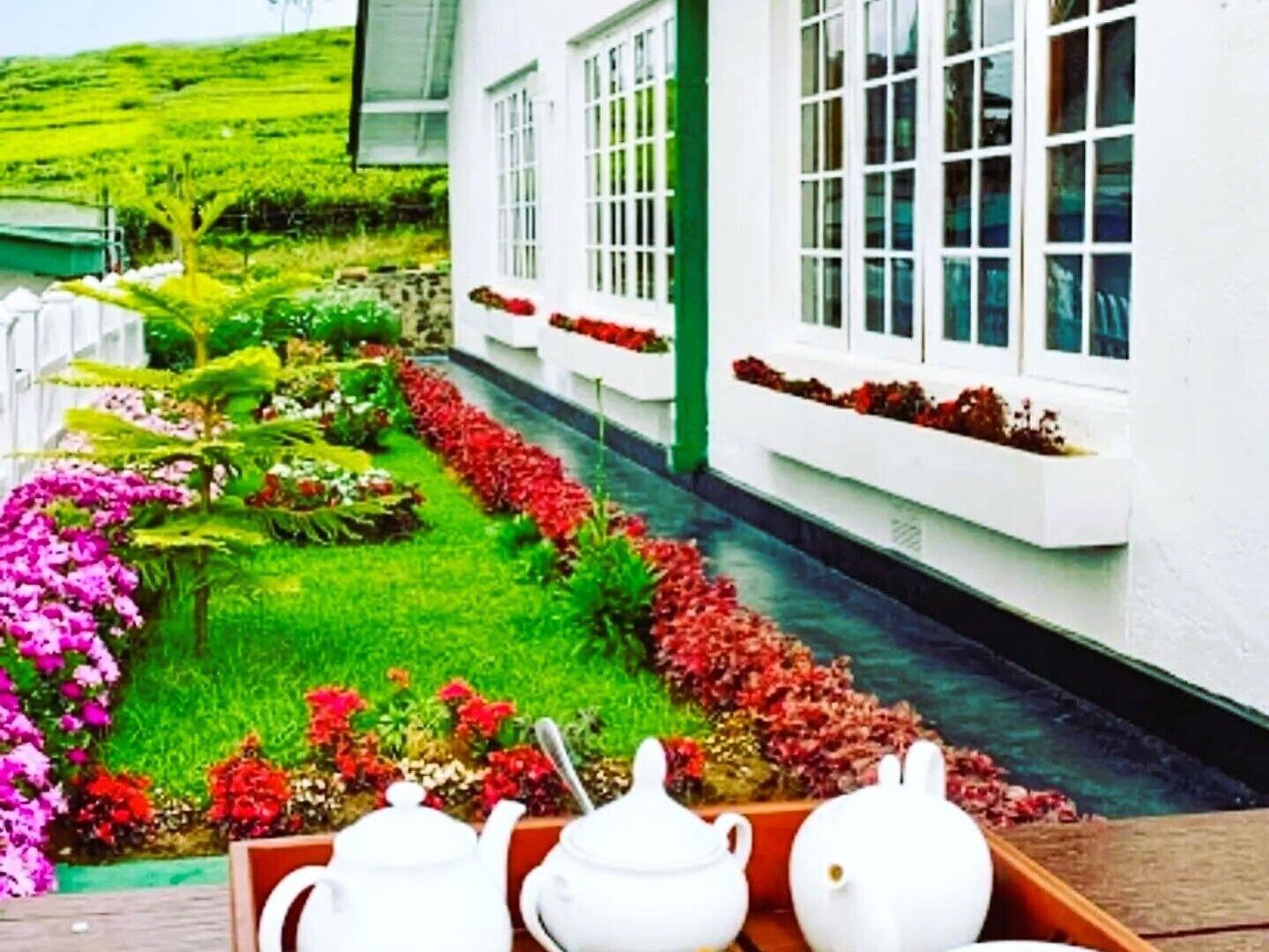 Villa Tea Fields - Free Breakfast, Just 4km From City, Near Gregory Nuwara Eliya