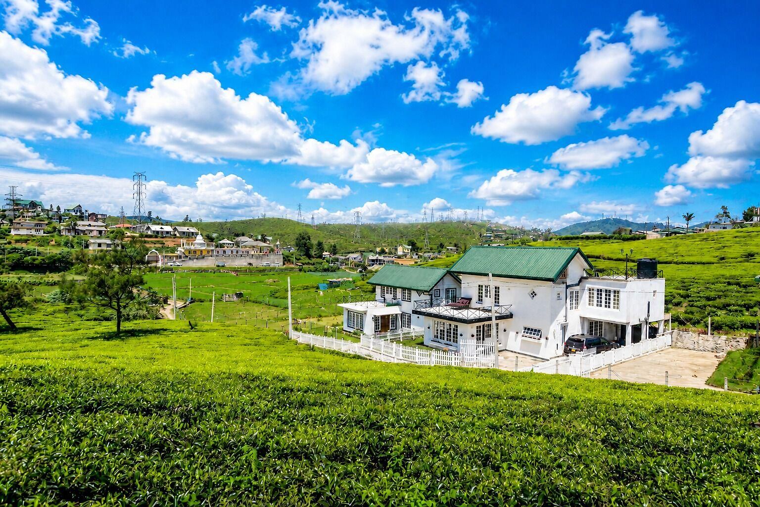 Tea Fields - Free Breakfast, Just 4km From City, Near Gregory