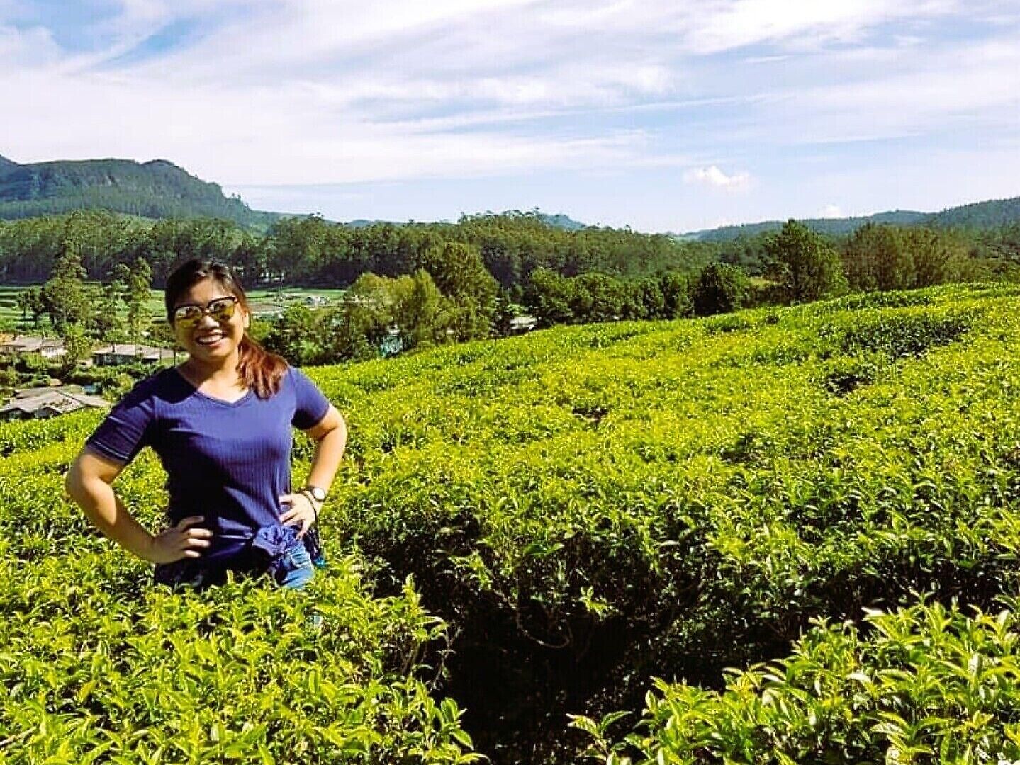 Tea Fields - Free Breakfast, Just 4km From City, Near Gregory * Nuwara Eliya