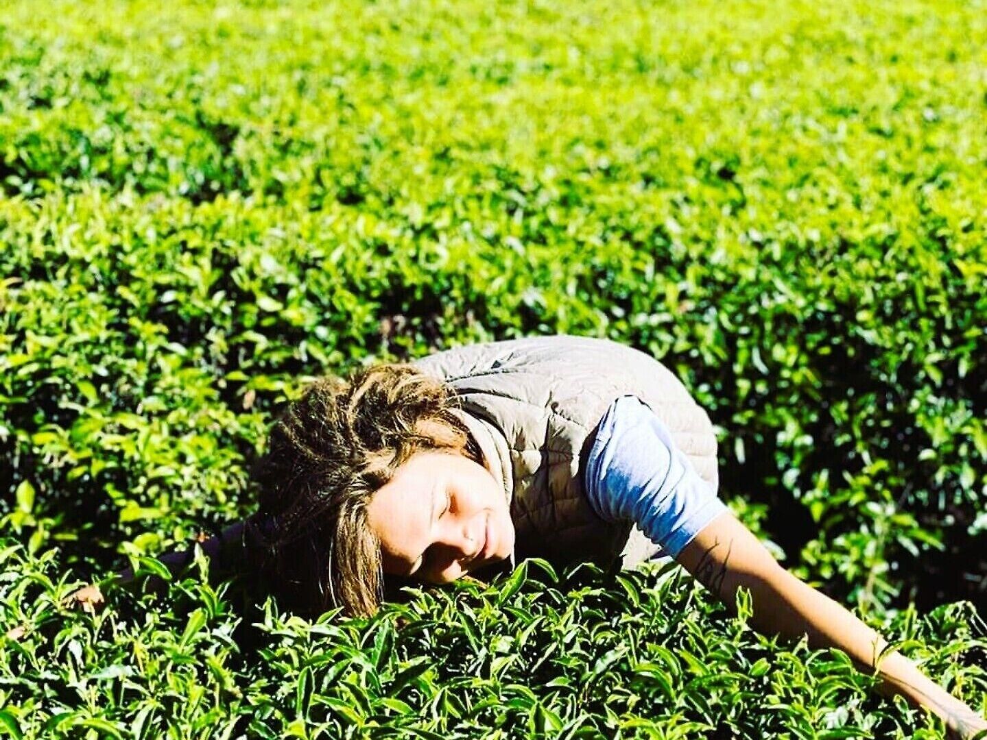 Tea Fields - Free Breakfast, Just 4km From City, Near Gregory Villa