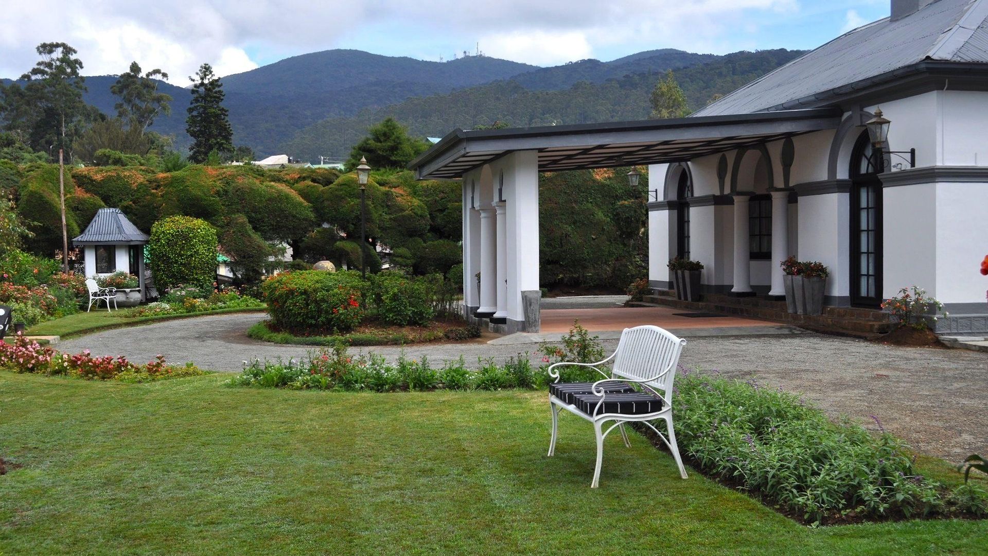 Royal Cocoon -
