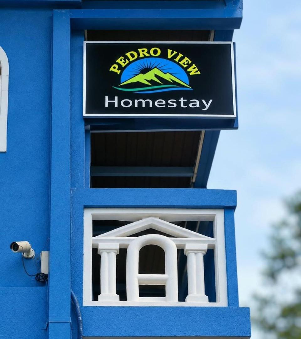 Pedro View Homestay *