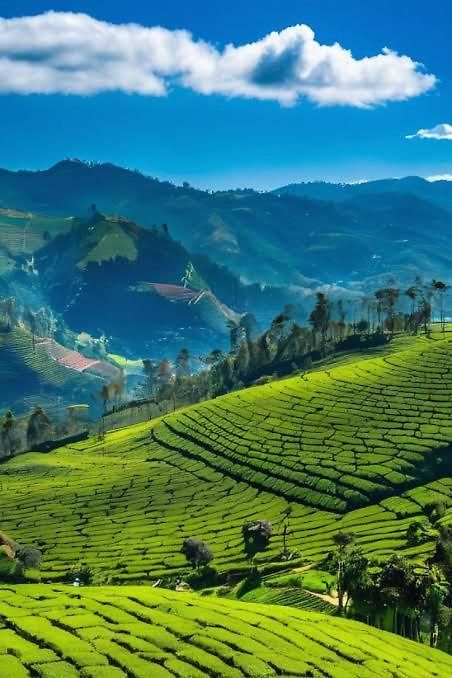 The Breeze Luxury Nuwara Eliya