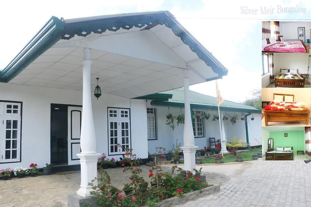 Guest house Silver Meir 3*