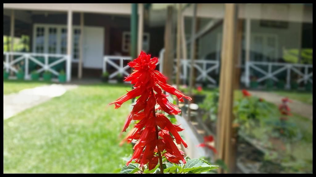 Guest house Happy Holiday