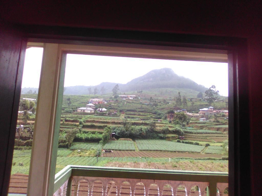 Avon Field Nuwara Eliya