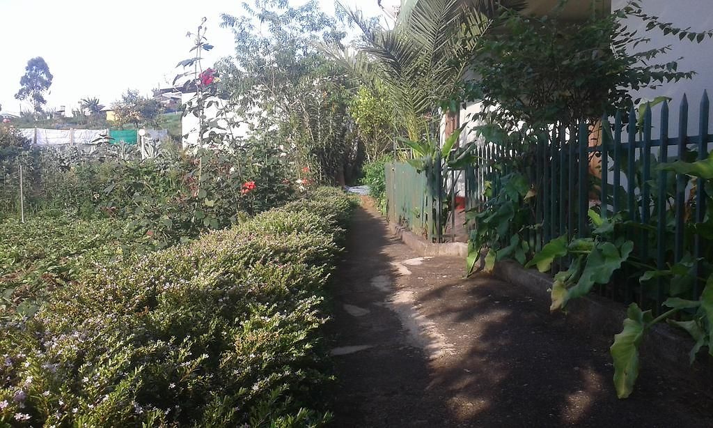 Homestay Avon Field *