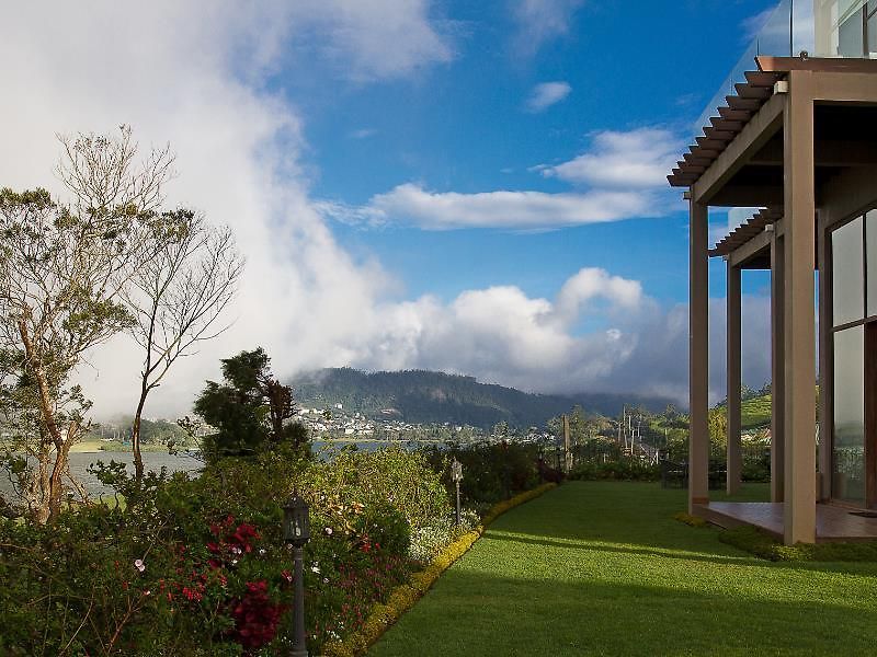 Tea Plant Villa