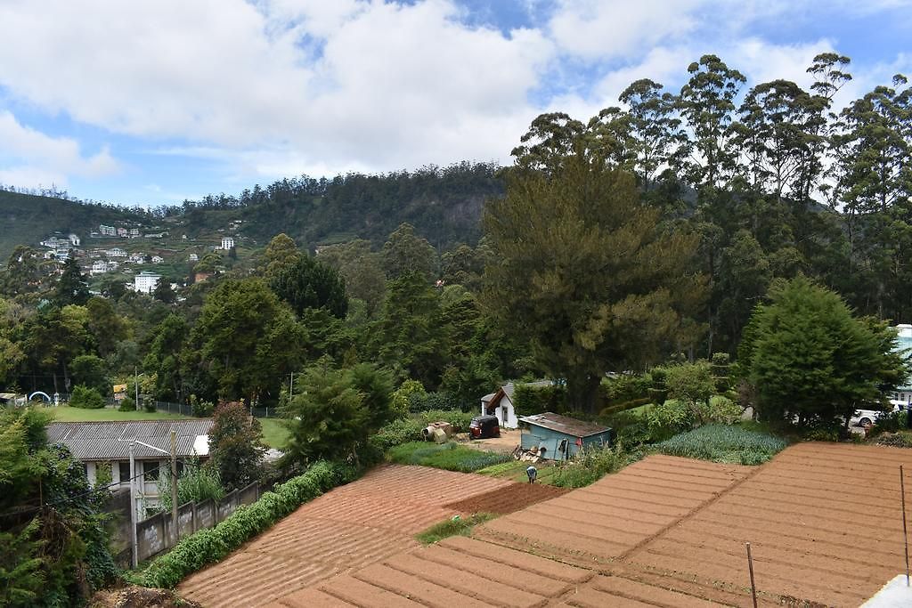Hills Rest