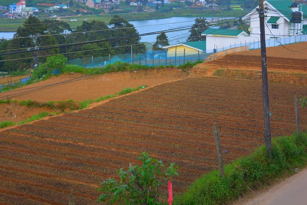 Hill Paradise Guest house Nuwara Eliya