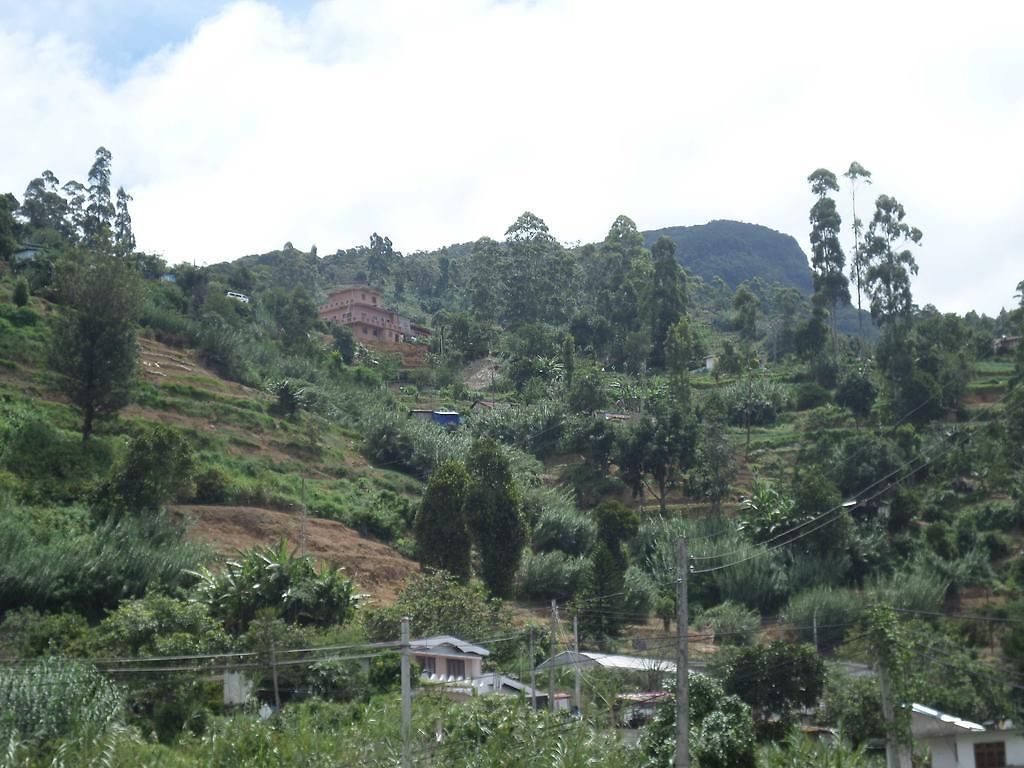 Seven Nine Nuwara Eliya