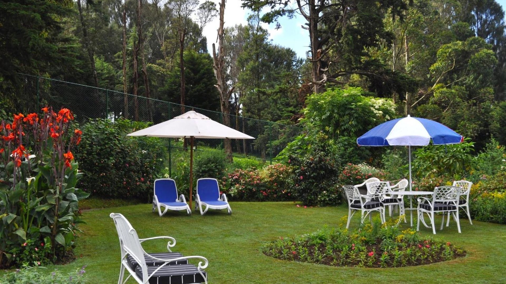 Hotel Royal Cocoon -