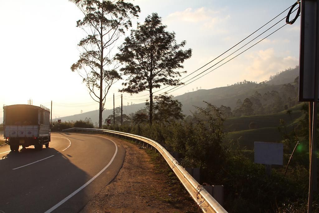 Homestay Cool Mount Guest