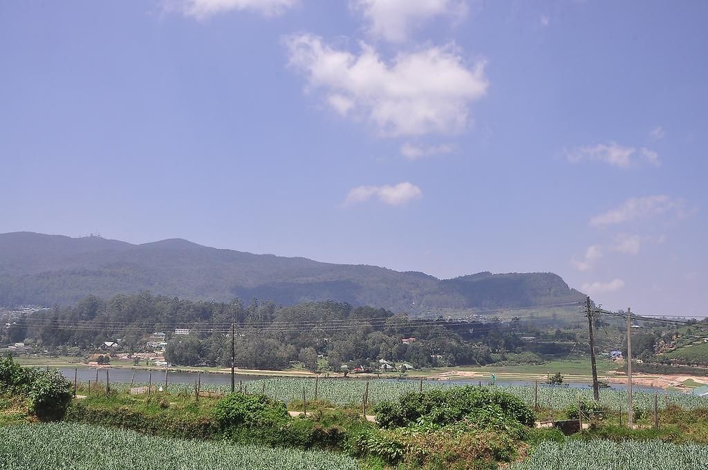 Guest house The Mountain Nuwara Eliya