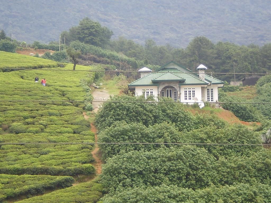 Bed & Breakfast The Royal Terrace