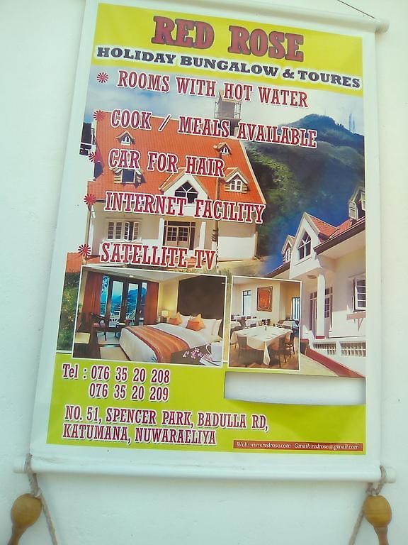 Red Rose *