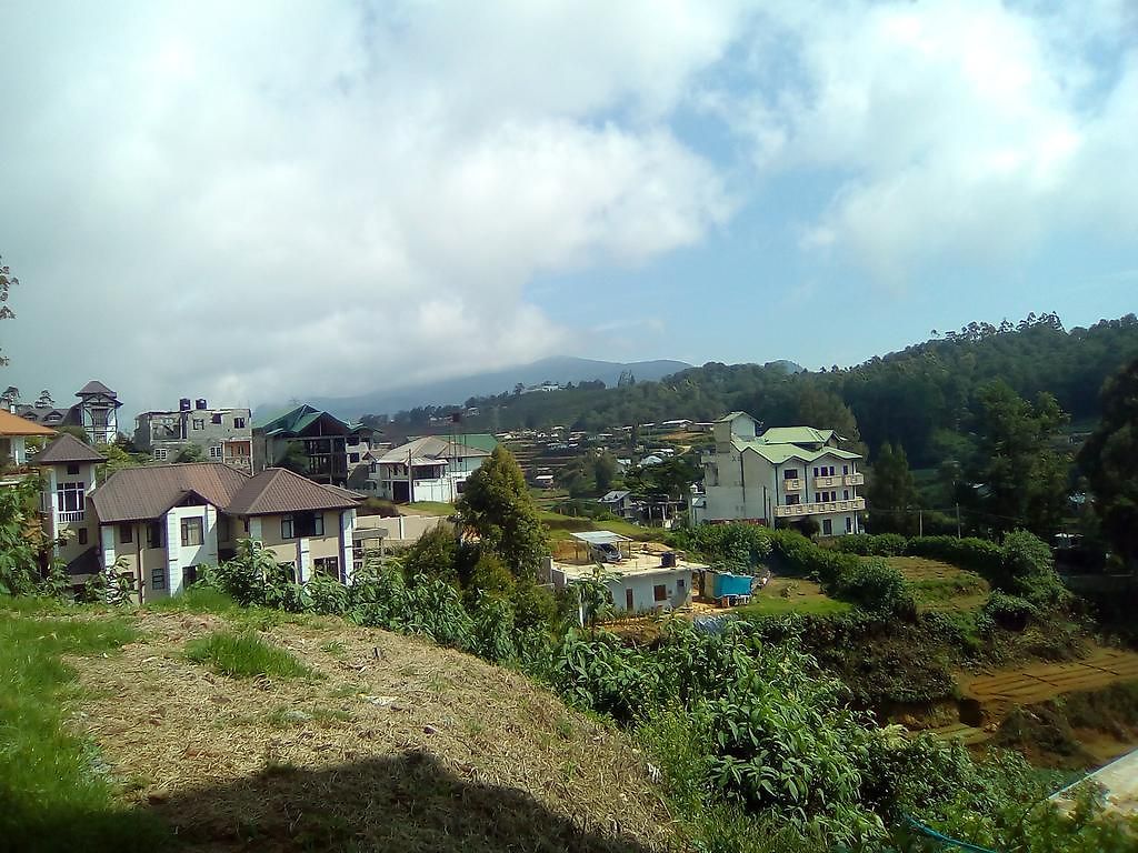 Red Rose Guest house
