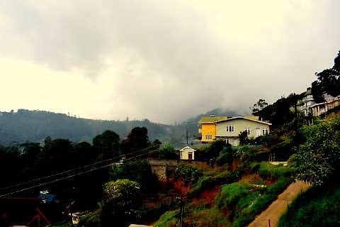 Max Mount View Nuwara Eliya