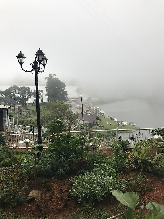 Misty Paradise Of Gregory Bed & Breakfast