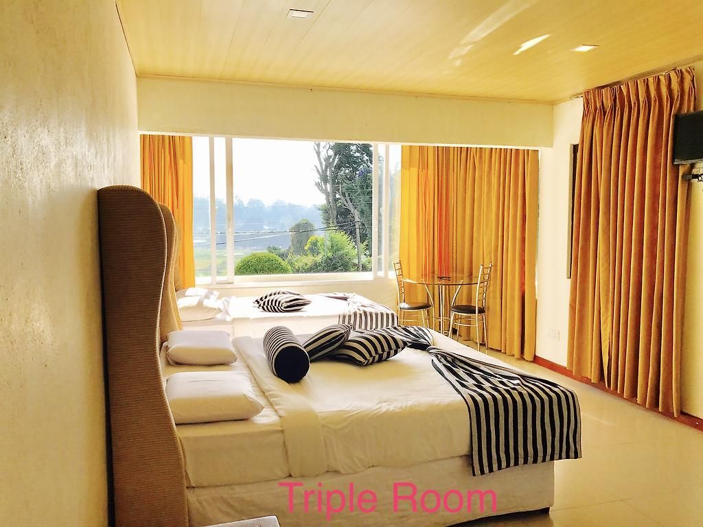 Hotel Single Tree *