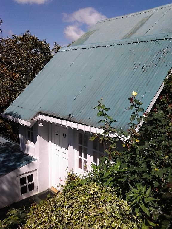 Sincere Wilderness Guest house