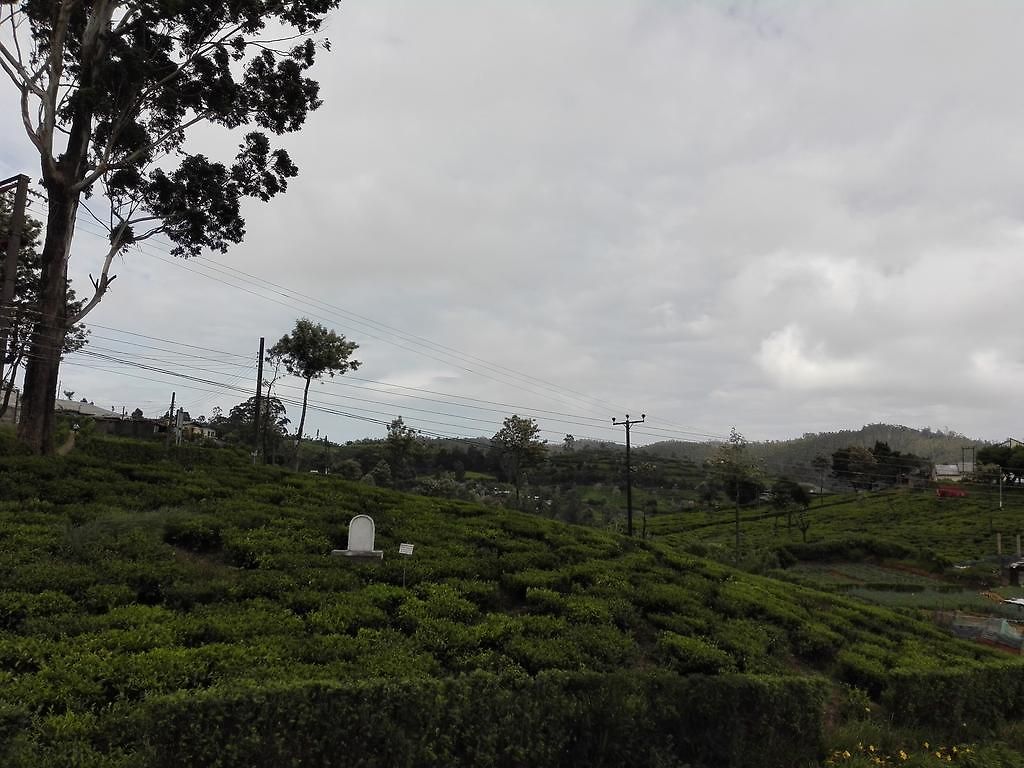 Pedro View * Nuwara Eliya