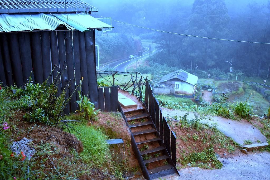 Guest house Rainfrorest Edge