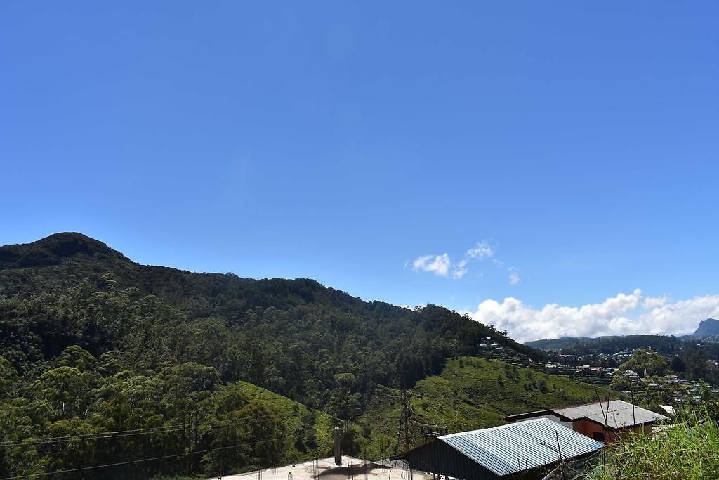 Rainfrorest Edge Guest house Nuwara Eliya
