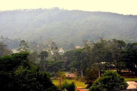 Guest house Max Mount View