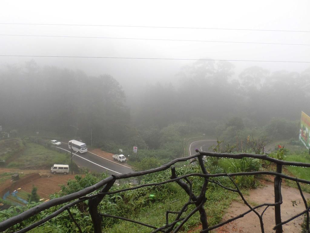 Rainfrorest Edge Nuwara Eliya