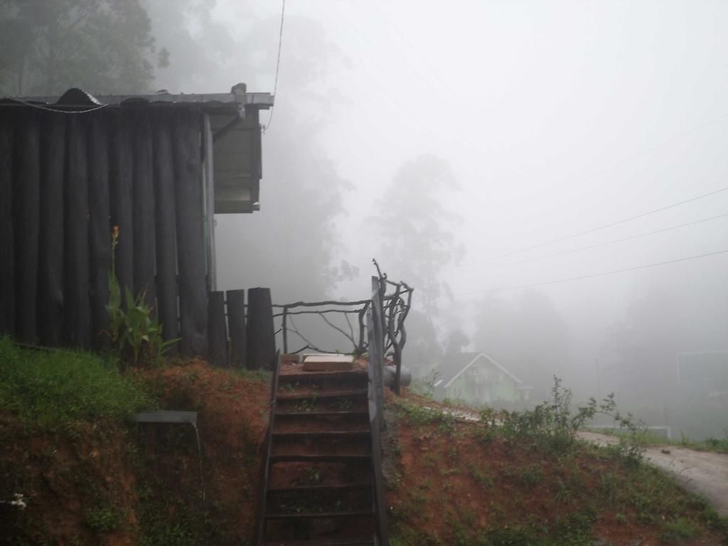 Rainfrorest Edge Guest house *