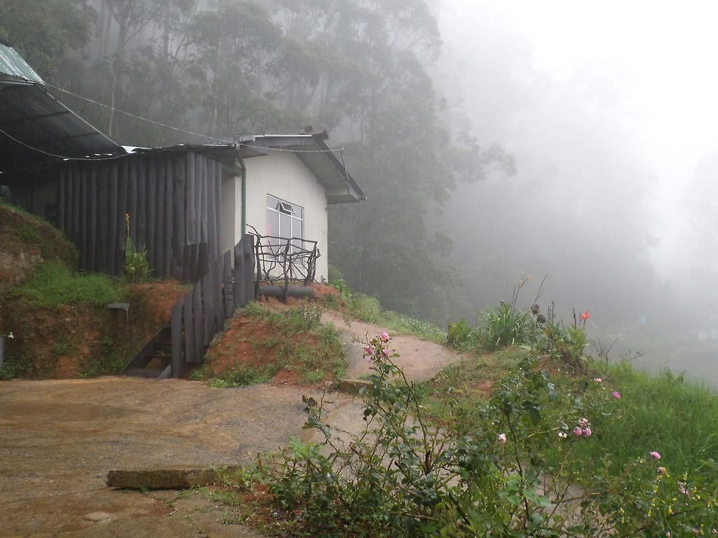 Guest house Rainfrorest Edge *