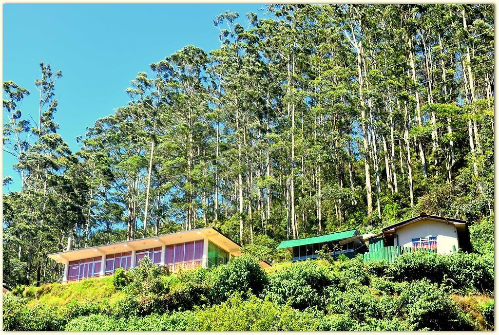 Guest house Rainfrorest Edge Nuwara Eliya
