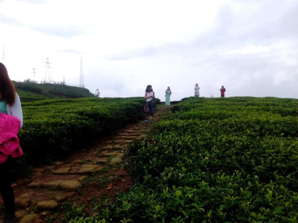 View Homestay